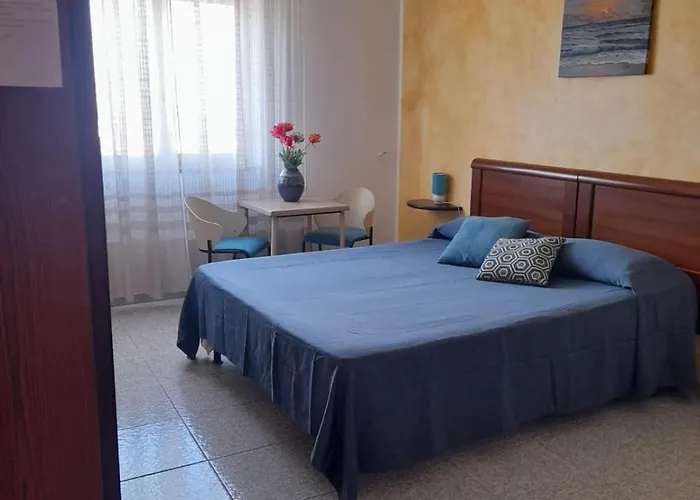 The Bridge - 招待所 特罗佩阿